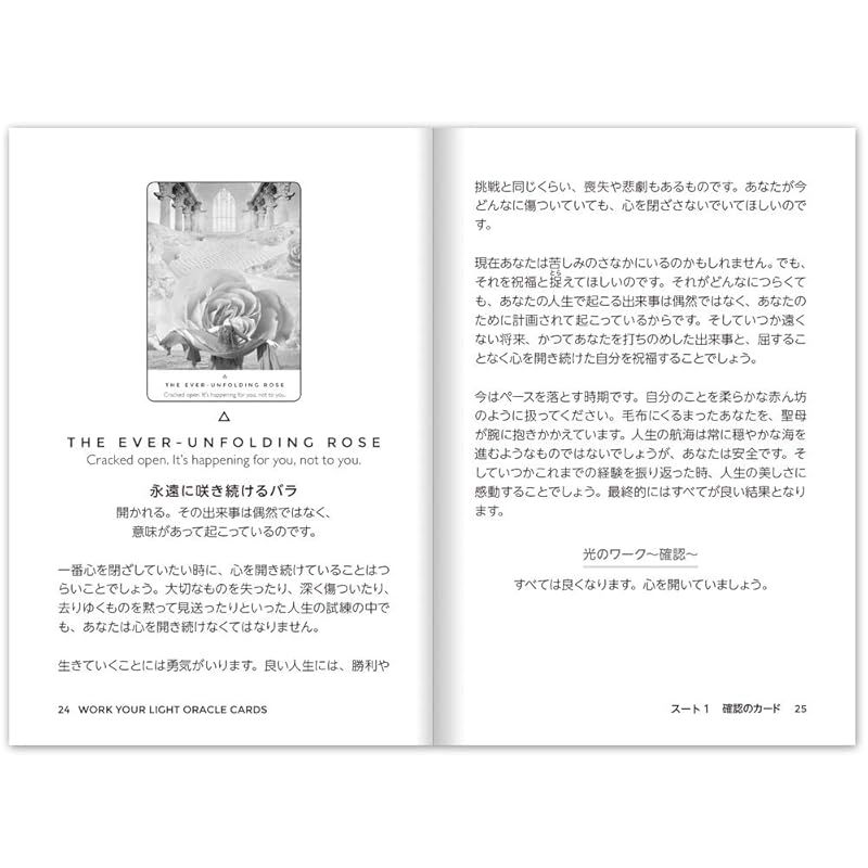 日本語版説明書付