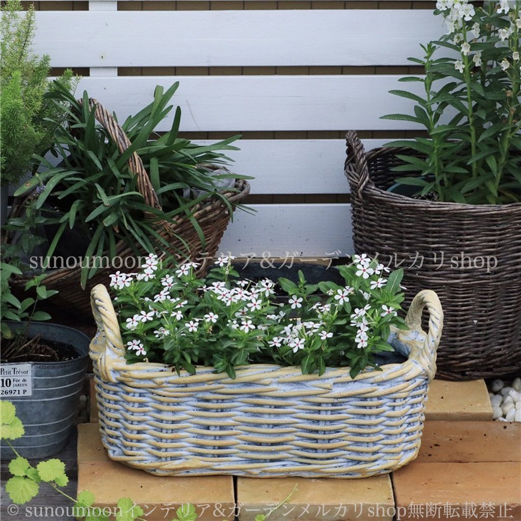 鉢植え 寄せ植え