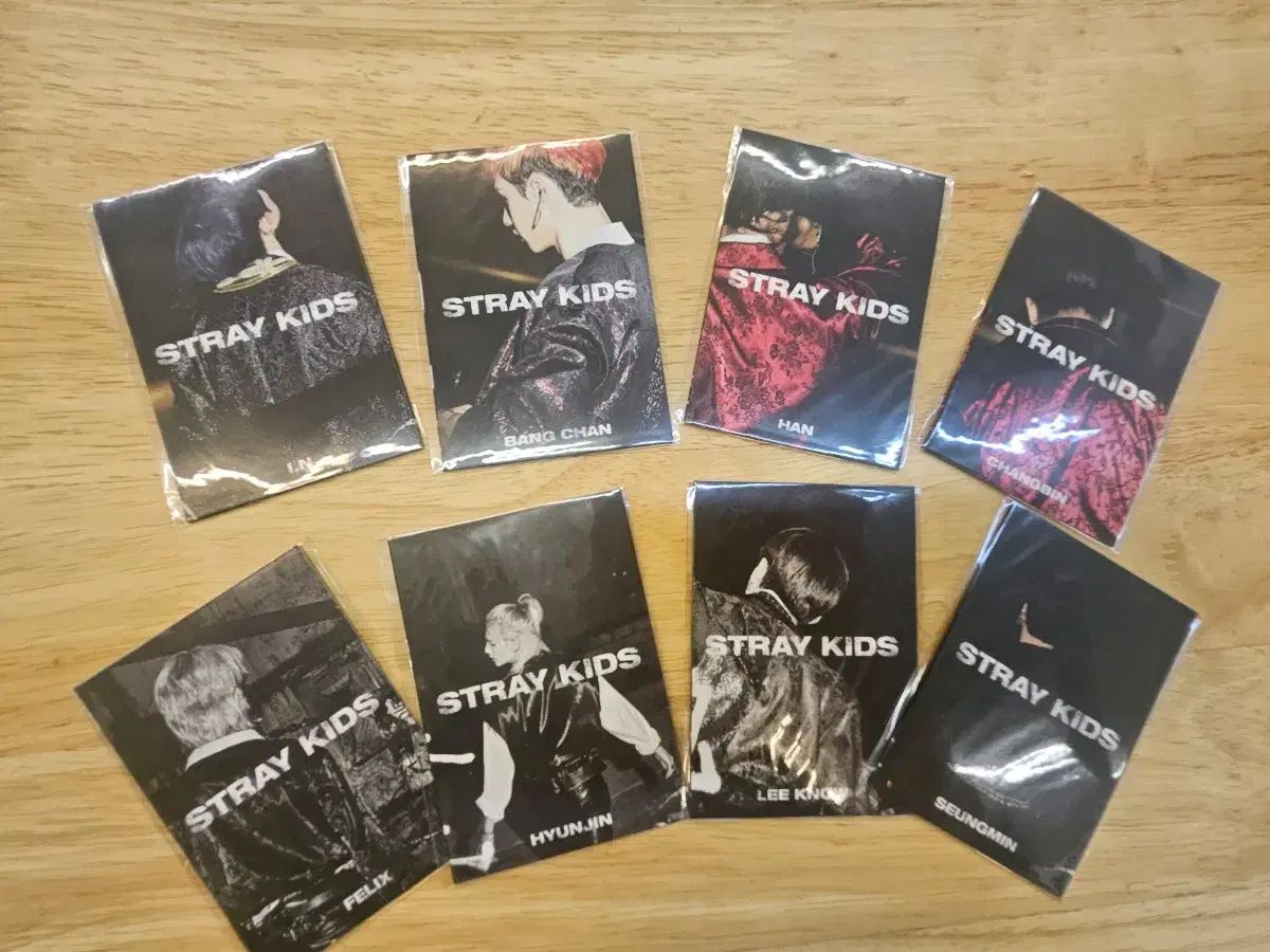 スキズ　ショーケース　ミニフォトブック Stray Kids(ストレイキッズ・スキズ・SKZ) 人生4カット リ