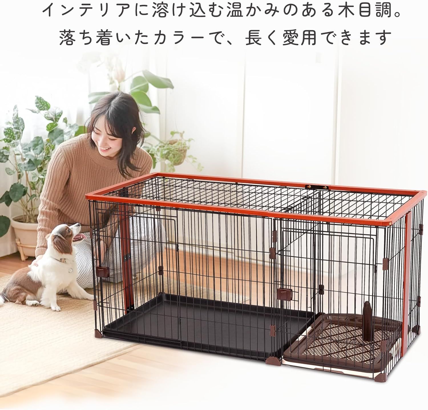 中型犬用
