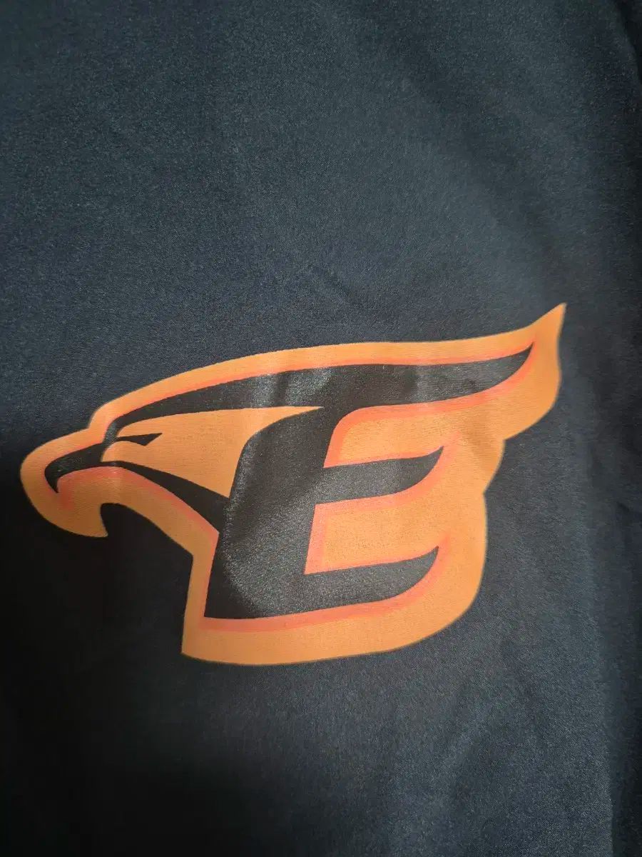 Hanwhae Eagles