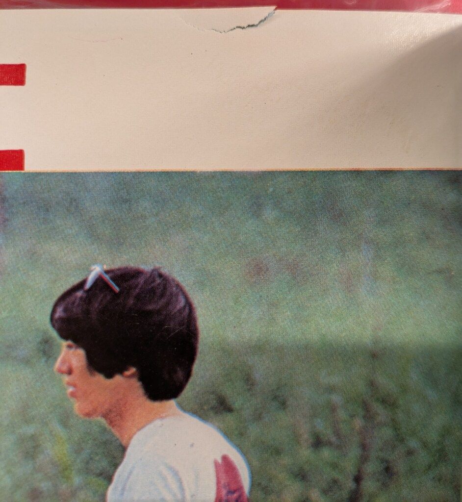 1968年 ザ・テンプターズ写真集 萩原健一 1968年 ザ・テンプターズ写真