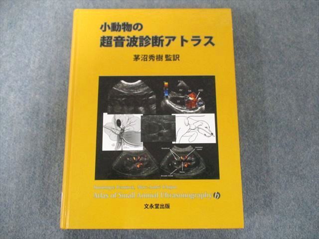 US82-123 文永堂出版 小動物の超音波診断アトラス 28M3D - 健康/医学