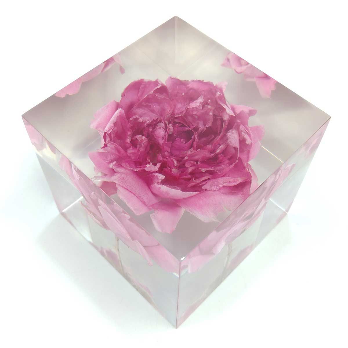 東信 あずままこと ブロックフラワー Block Flowers シャクヤク 芍薬