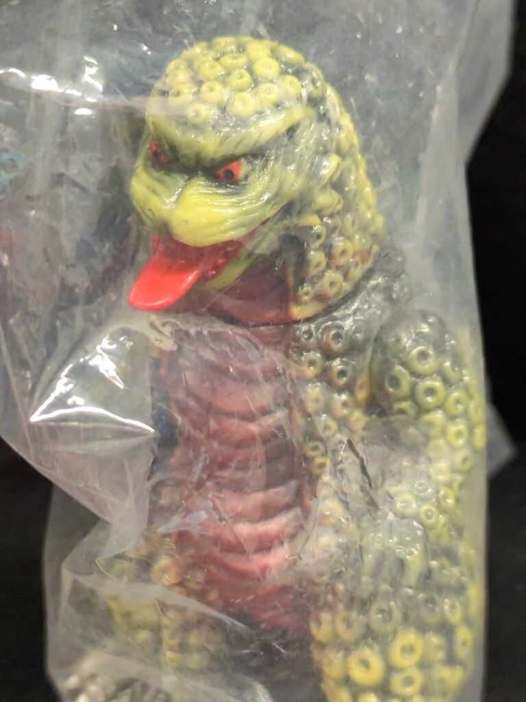 【サンガッツ本舗】豊年魚（レッドシャドー） Amazon.co.jp: サンガッツ本舗 豊年魚 レッドシャドー