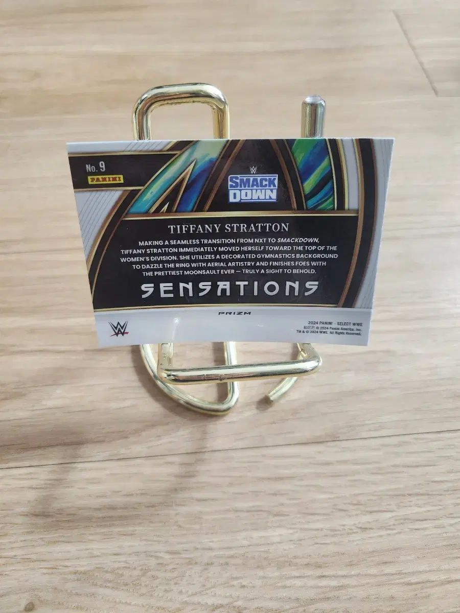 マーシャルワールド ALLS1-XL-PU サンダー ロングスパッツ 紫×黒 XL