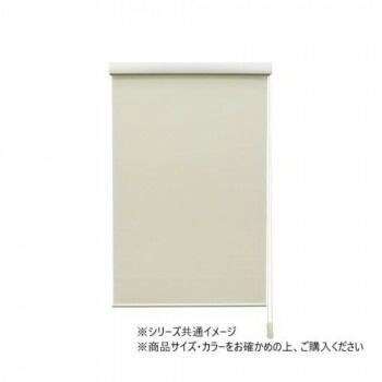 ロールスクリーン エクシヴ 遮光タイプ 幅165×高さ220cm 遮光ベージュ L3535