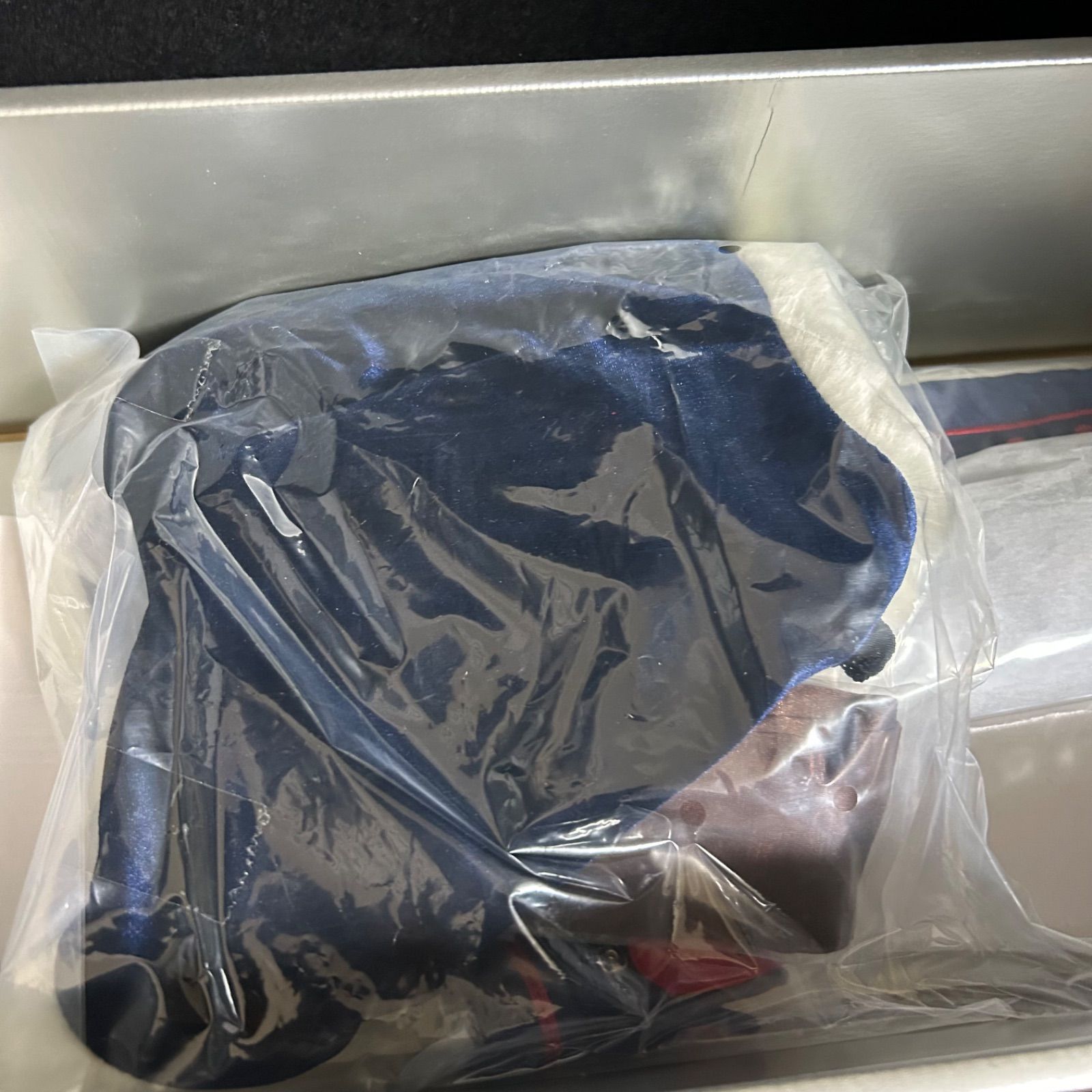 ライダー アルトリア