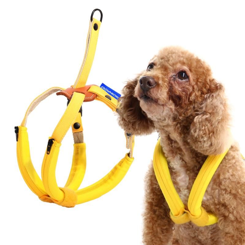 Fleurir フルーリア アクリルパウダー 80g フルーリア アクリル