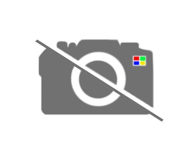 トヨタ TOYOTA 純正 150系 ランクルプラド ランドクルーザー ルーフラックレッグカバー リア 左 右 セット パーツ エンジン タイヤ バンパー 検索 マフラー