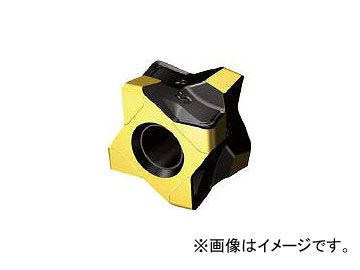 観葉植物 フィカス ウンベラータ 特別仕立て 陶器鉢 5号 calm cafe