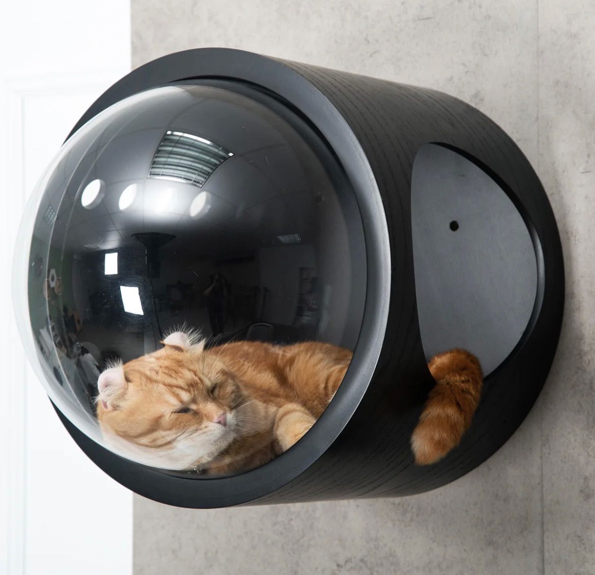 マイズー MYZOO マイズー 宇宙船 GAMMA ガンマ 猫用ベッド
