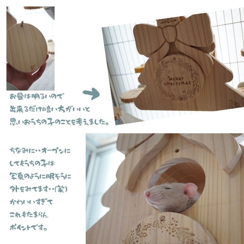 ハウス ファンシーラット