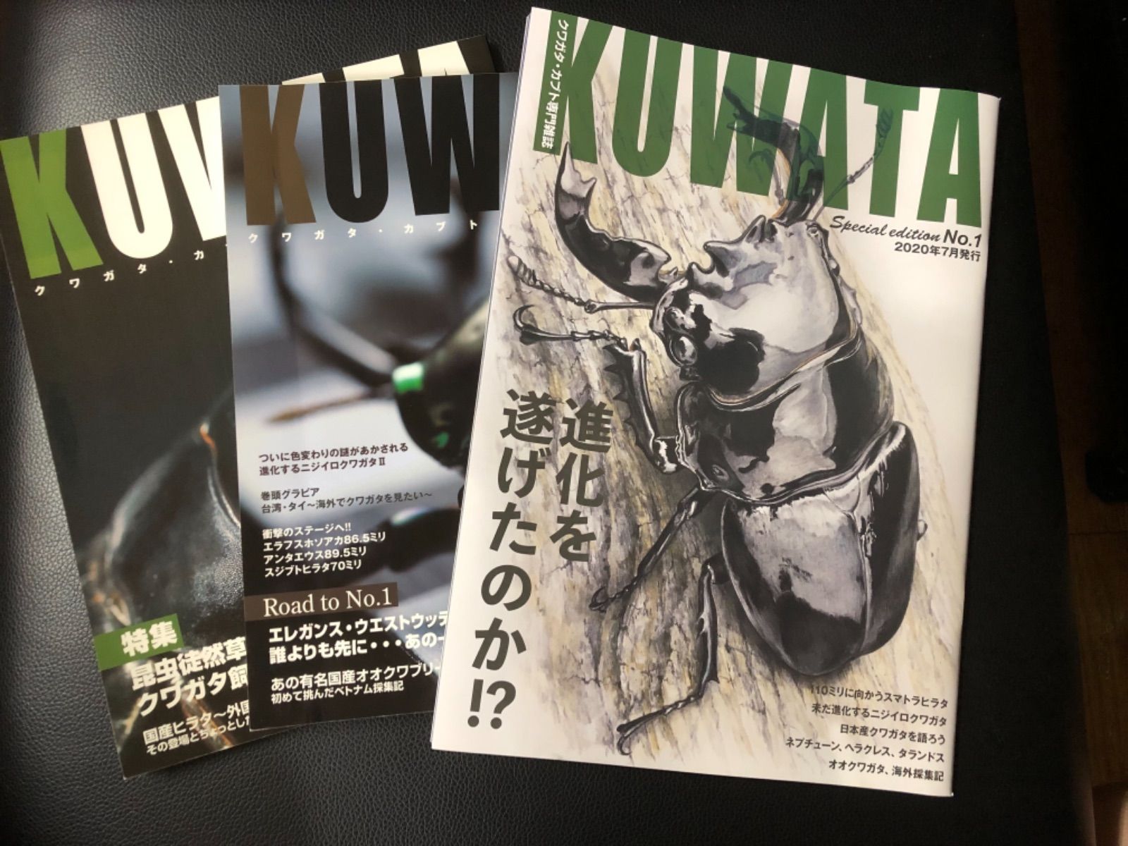 ピンク・ブルー KUWATA 創刊号等12冊 クワガタ・カブトムシ専門誌