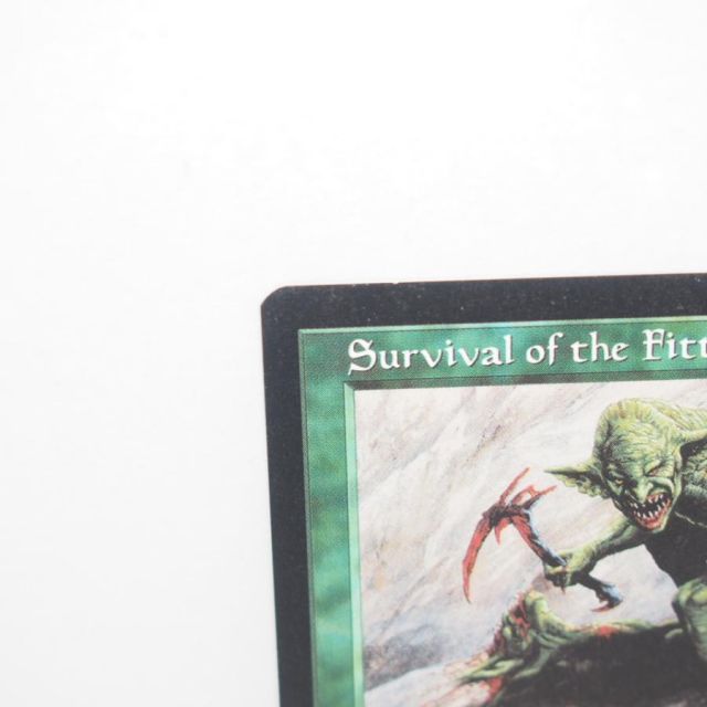 MTG　適者生存　Survival of the Fittest　エクソダス Survival of the Fittest | Exodus - Japanese | Star City Games