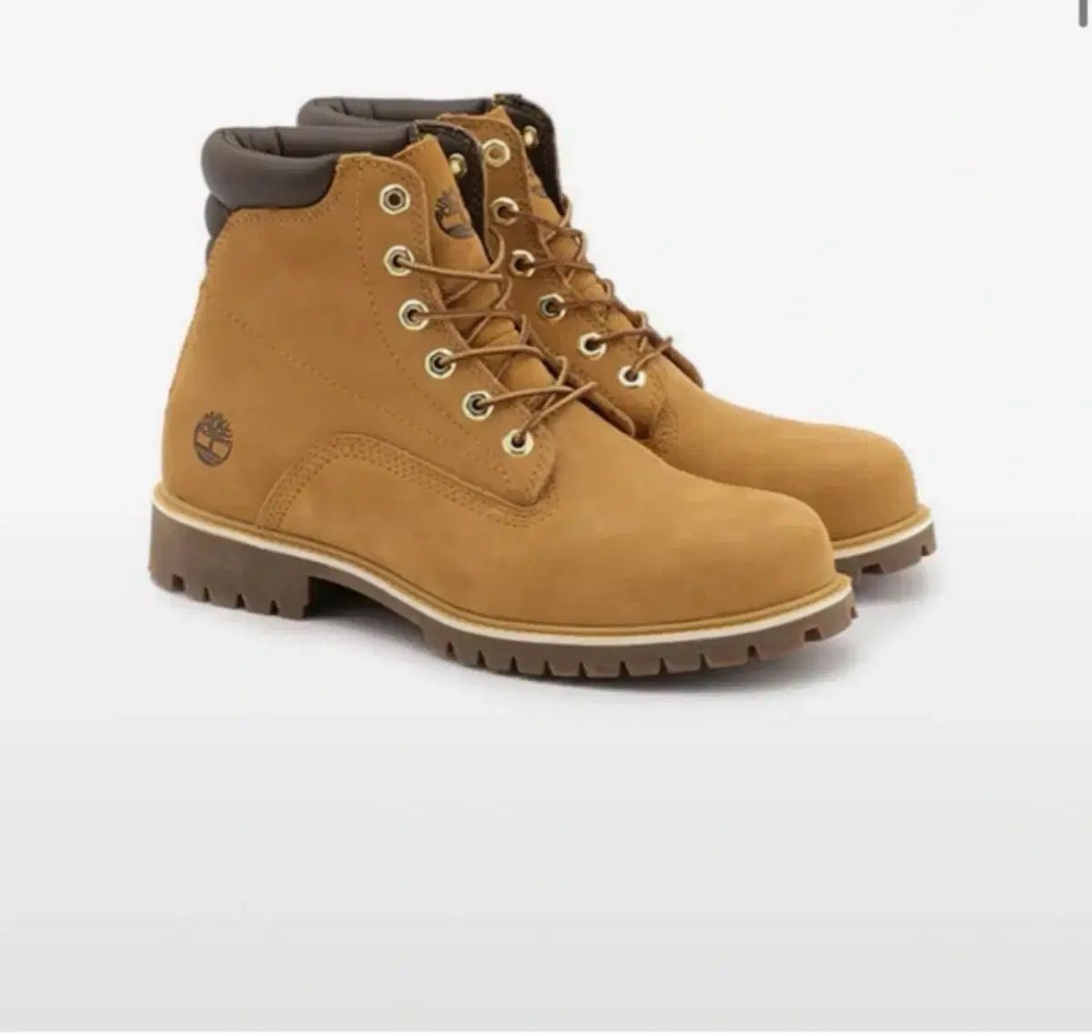 Timberland ティンバーランド 6 インチ コーラル ブーツ 265