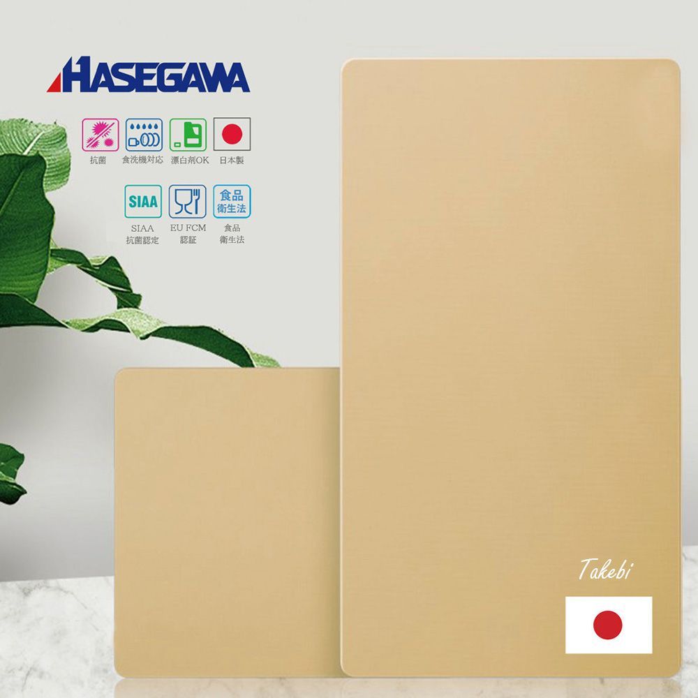 HASEGAWA ハセガワ（長谷川）FSRシリーズ 抗菌ソフト木芯まな板 SIAA