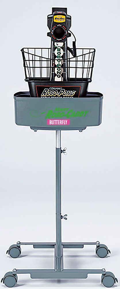 トレーニング