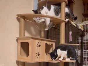 スリム 据え置き
