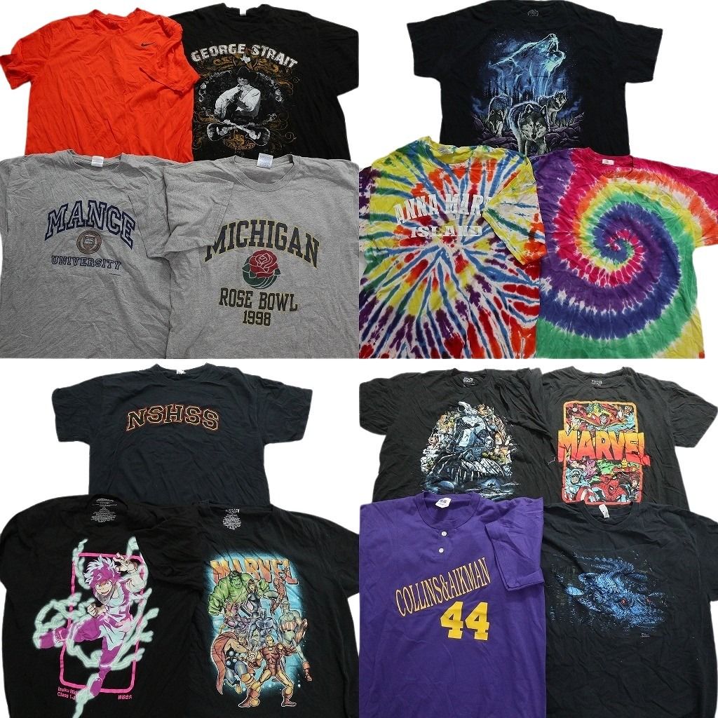 古着卸 まとめ売り 半袖Tシャツ 14枚セット (メンズ XL ) TシャツMIX ナイキ 映画ドラマ タイダイ カレッジ風 アニマル マーベル MU2839