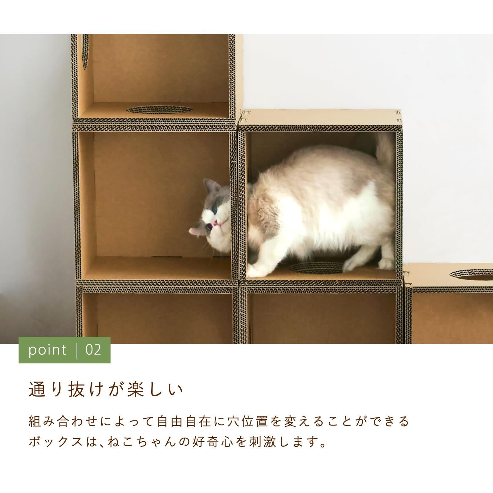 C・A・T キャット 4箱セット BT05-4S-P_06_1000x1000.jpg?v=