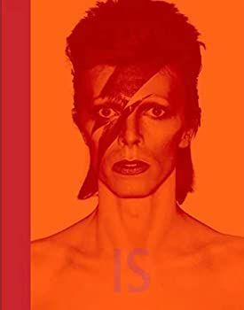 非常に良い】 2024 David Bowie Is (Museum of Contemporary Art