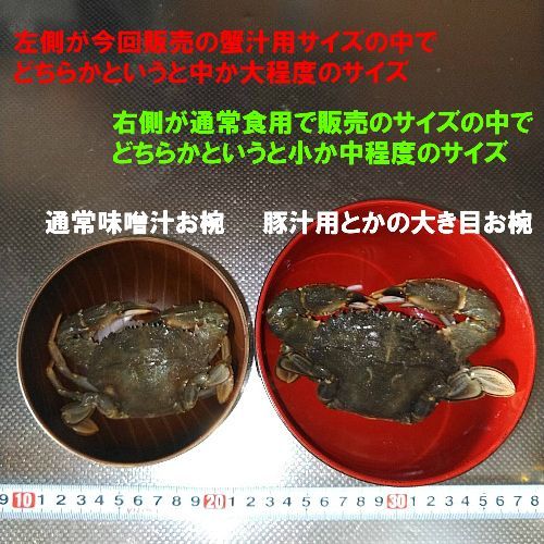 「冷凍出荷！石蟹小サイズ２kg」 カニ汁用！イシガニ 蟹汁 味噌汁 中華料理 目安2キロ 40杯程度 蟹料理  蟹出汁ラーメンに！贈答に！冷凍蟹 冷凍カニ
