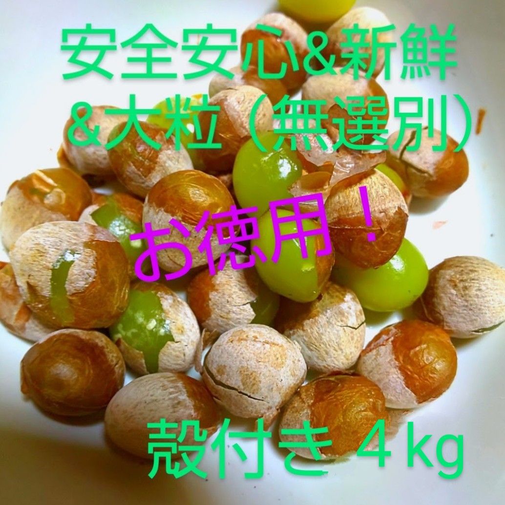 ❤️ぎんなんや❤️お値下げ！安全安心な新潟産大粒銀杏殻付きサイズ無選別4kg（M-3L）