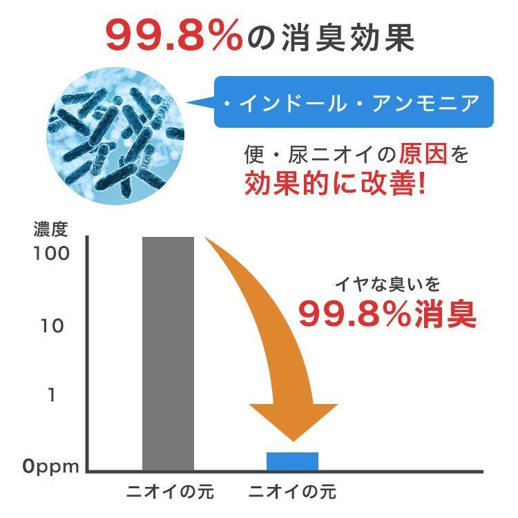 アウトドア