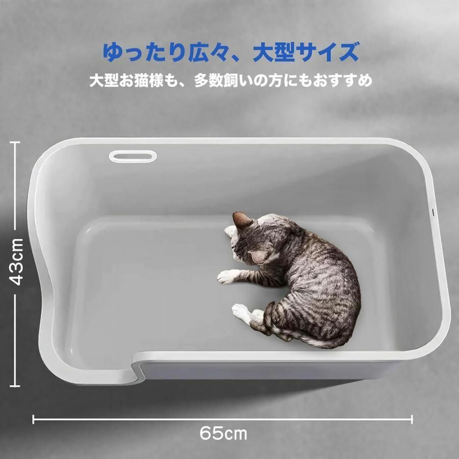 多匹