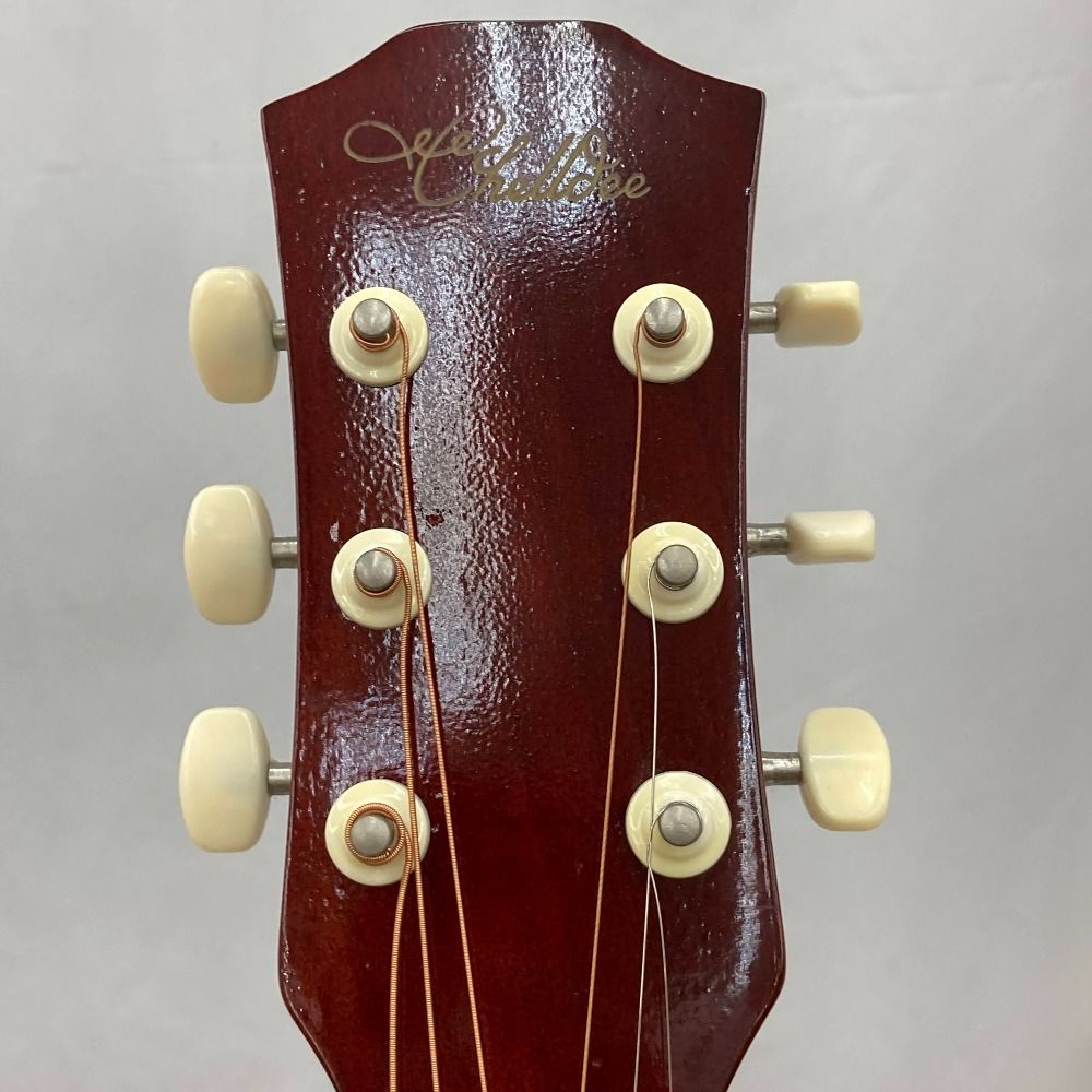Chelldee アコースティックギター グラフィティデザインの通販
