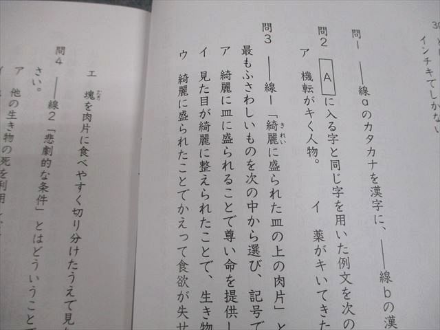 SAPIX サピックス 小6 国語 早稲田コース 冬期講習/正月特訓 早稲田系対策プリント テスト計10回 2024 018S2D SAPIX サピックス 小6 国語 正月特訓 早稲田系対策プリント 01