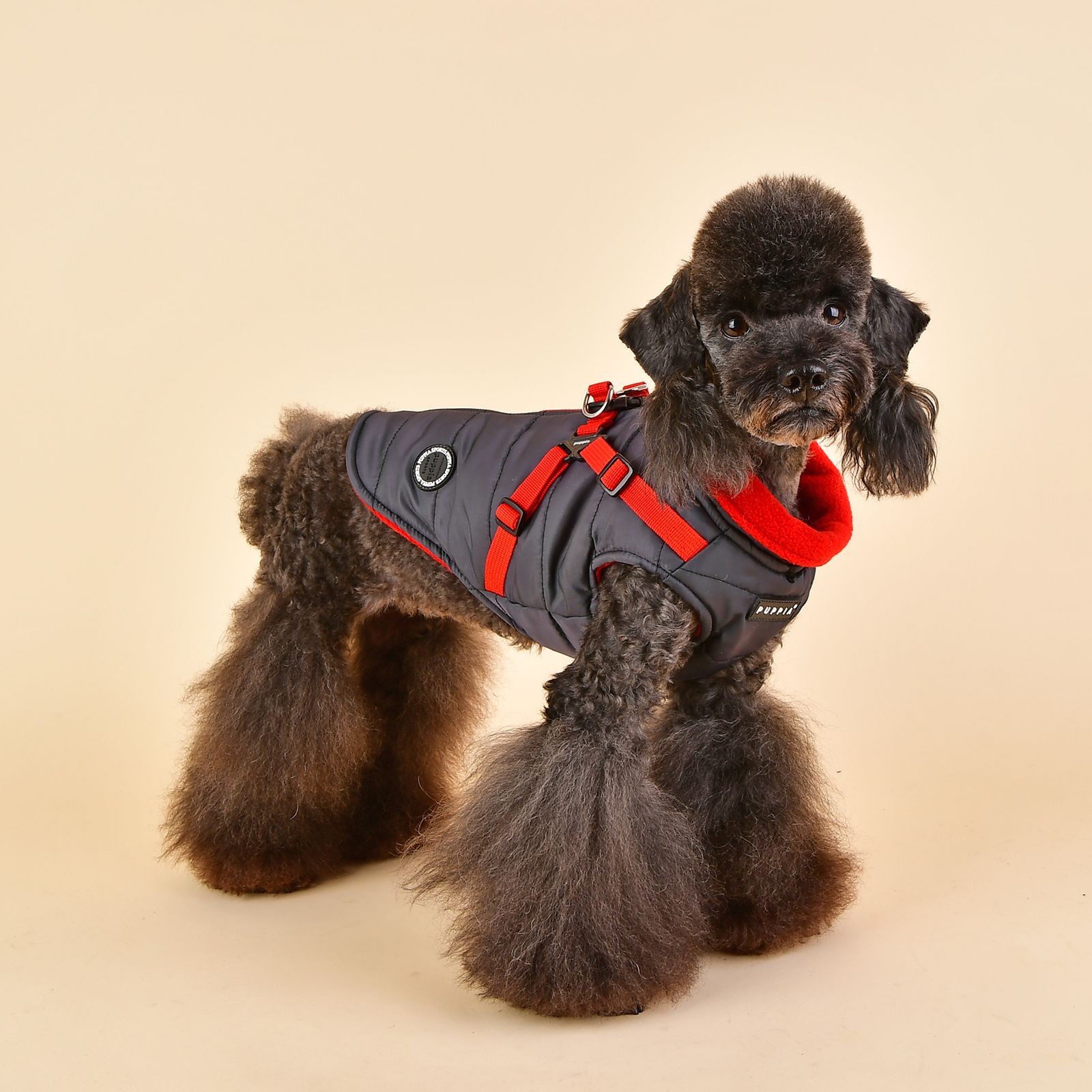 PUPPIA 犬服 ハーネス付きダウン 古くさ ペットウエア Mサイズ