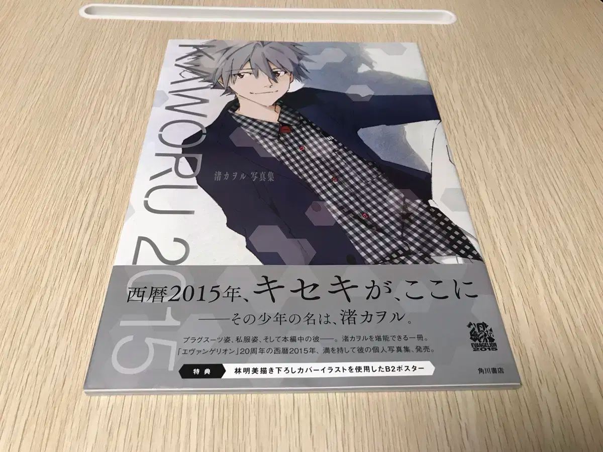 アニメ エヴァンゲリオン 渚カヲル イラスト集 アートブック 画集 写真集