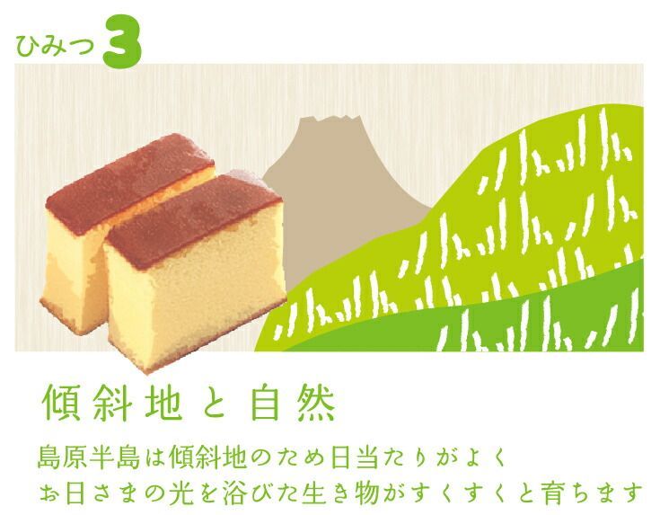 長崎カステラ 6本セット Amazon | 長崎カステラ切り落とし みかど本舗6本セット約250g