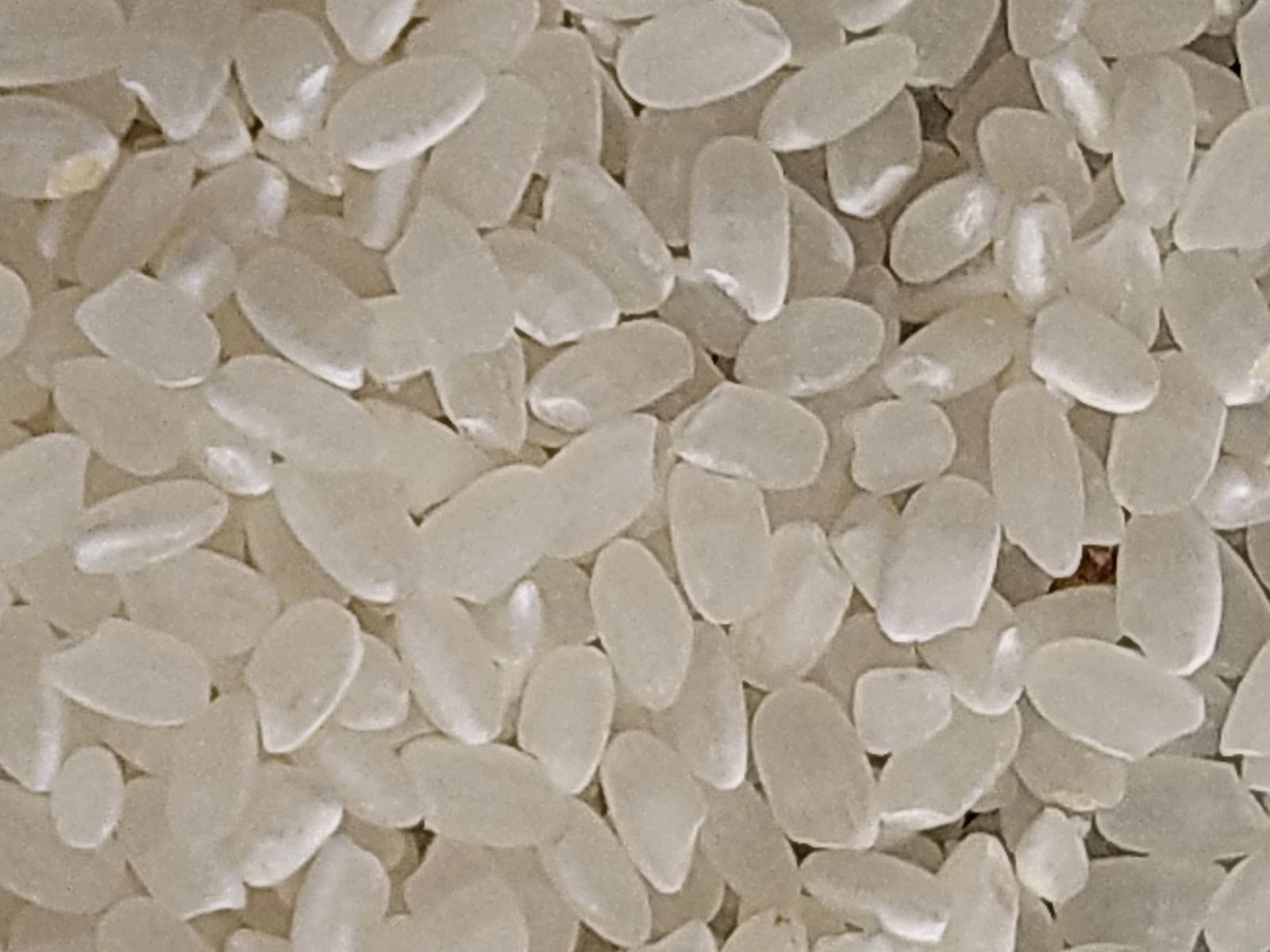 特別栽培米 農薬八割削減 化学肥料等半減 ひとめぼれ９kg 標準