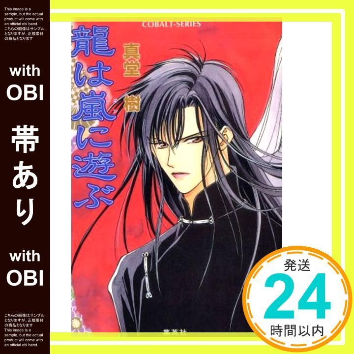 帯あり 龍は嵐 ラン に遊ぶ コバルト文庫 真堂 樹 浅見 侑_09