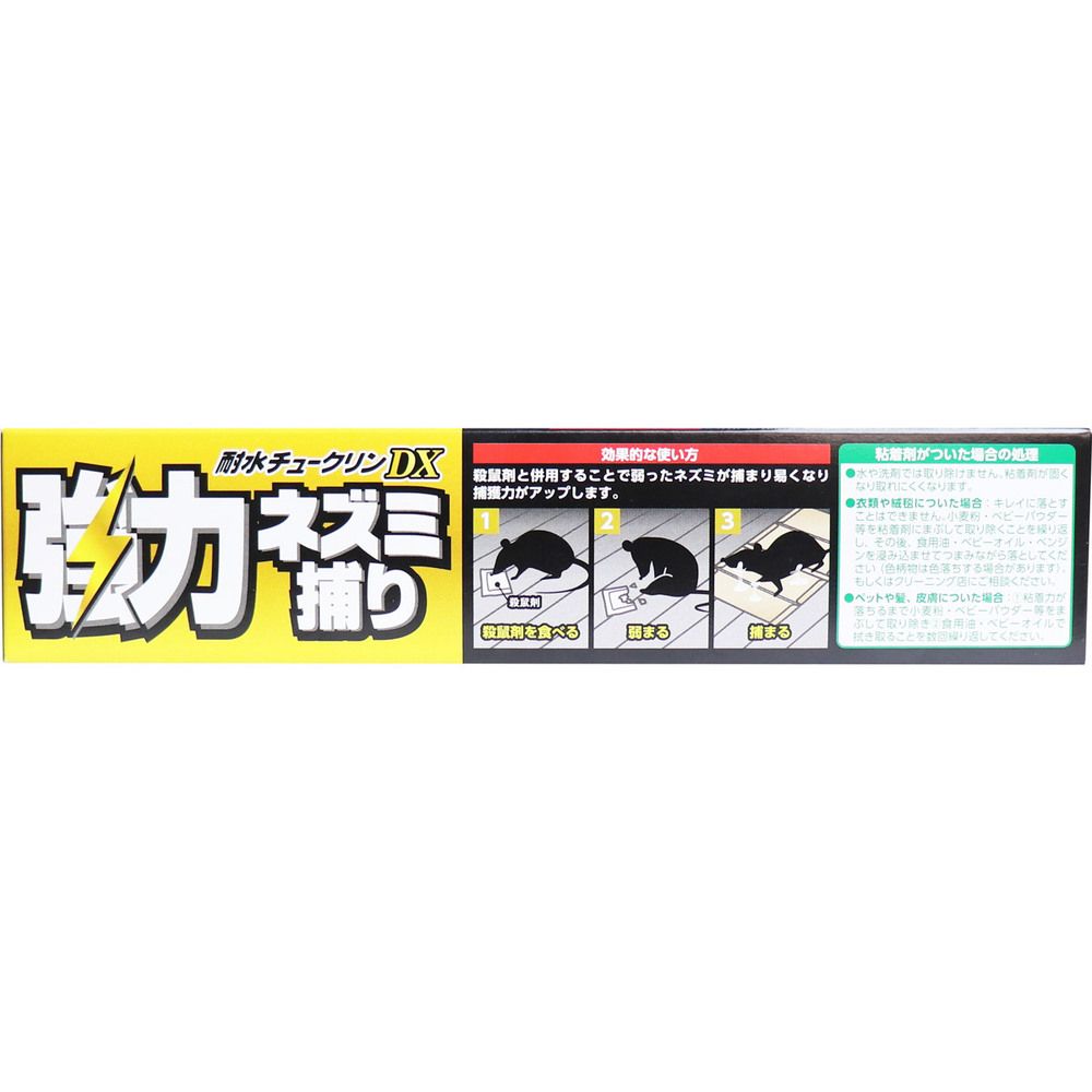 10個セット