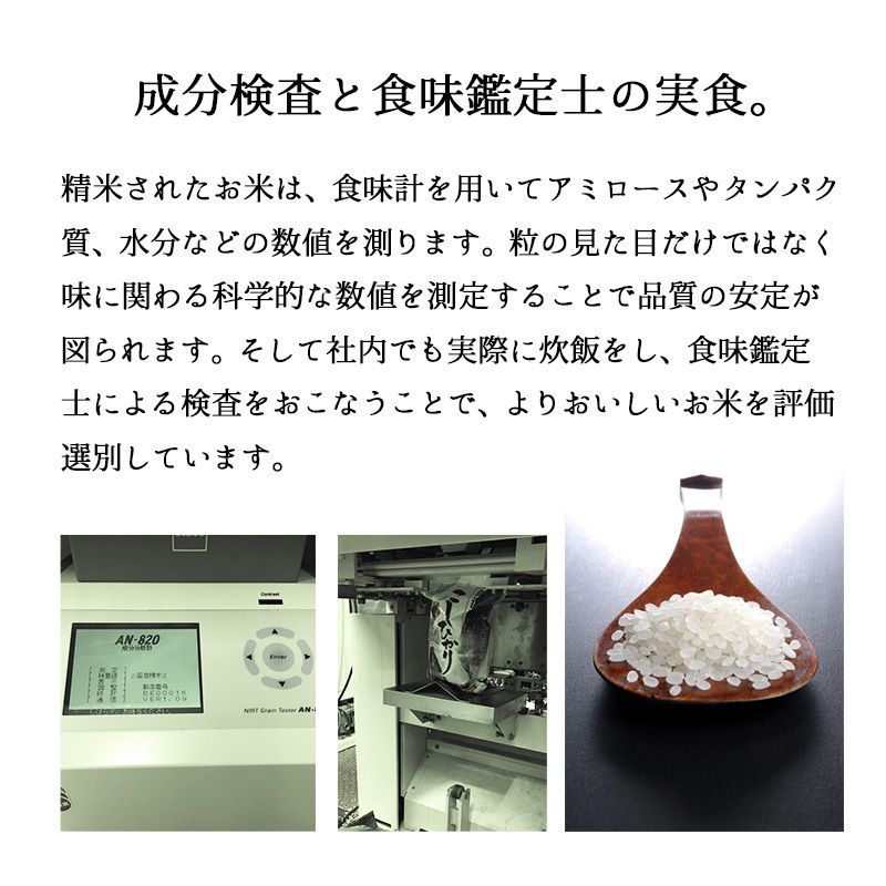 新米 新之助5kg お米 令和6年産 白米