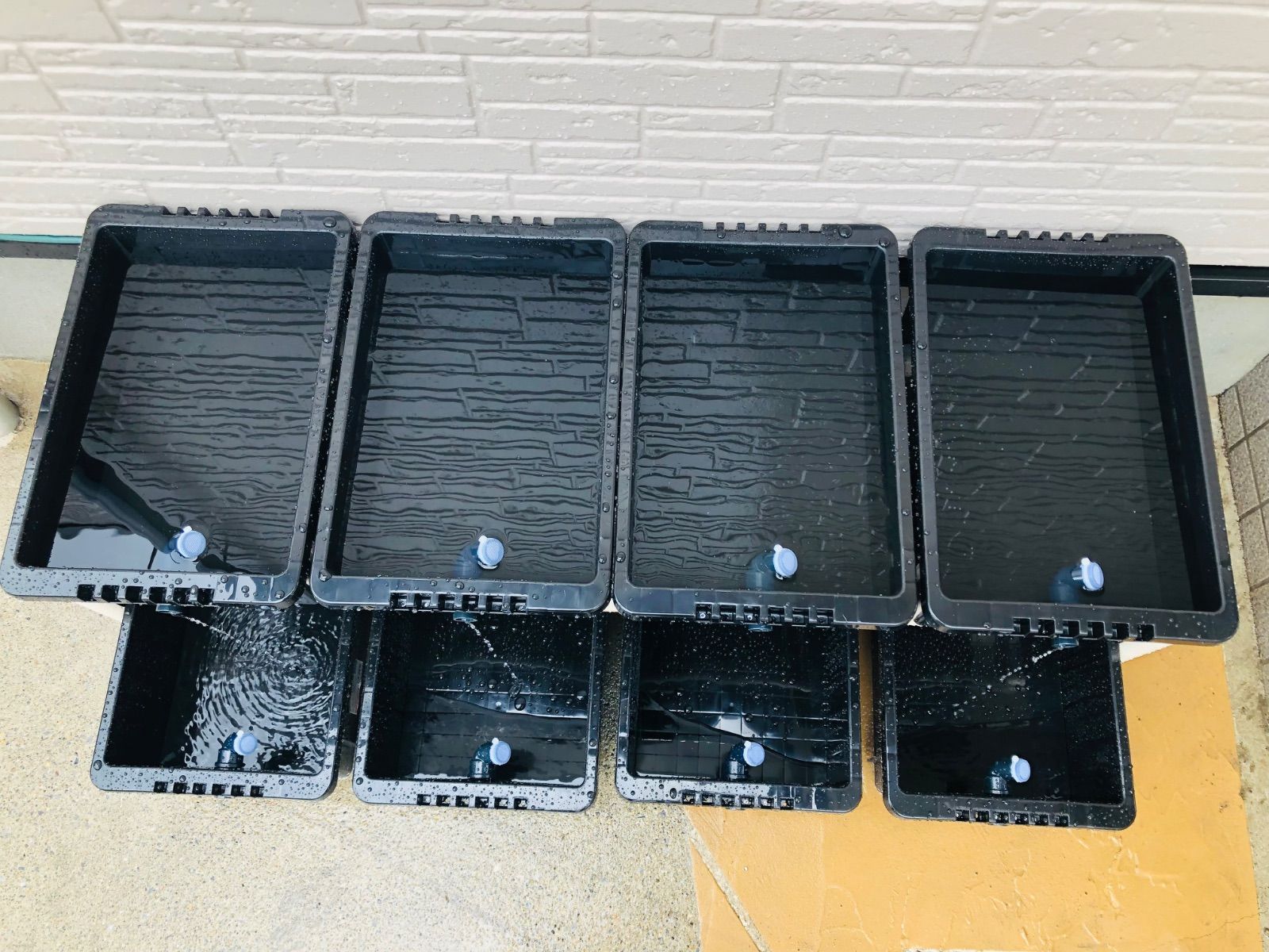 メダカ飼育ラック ブラック【接着剤付】 NVBOX13を12個置けます メダカ飼育ラック ブラック【接着剤付】 NVBOX13を12個置けます