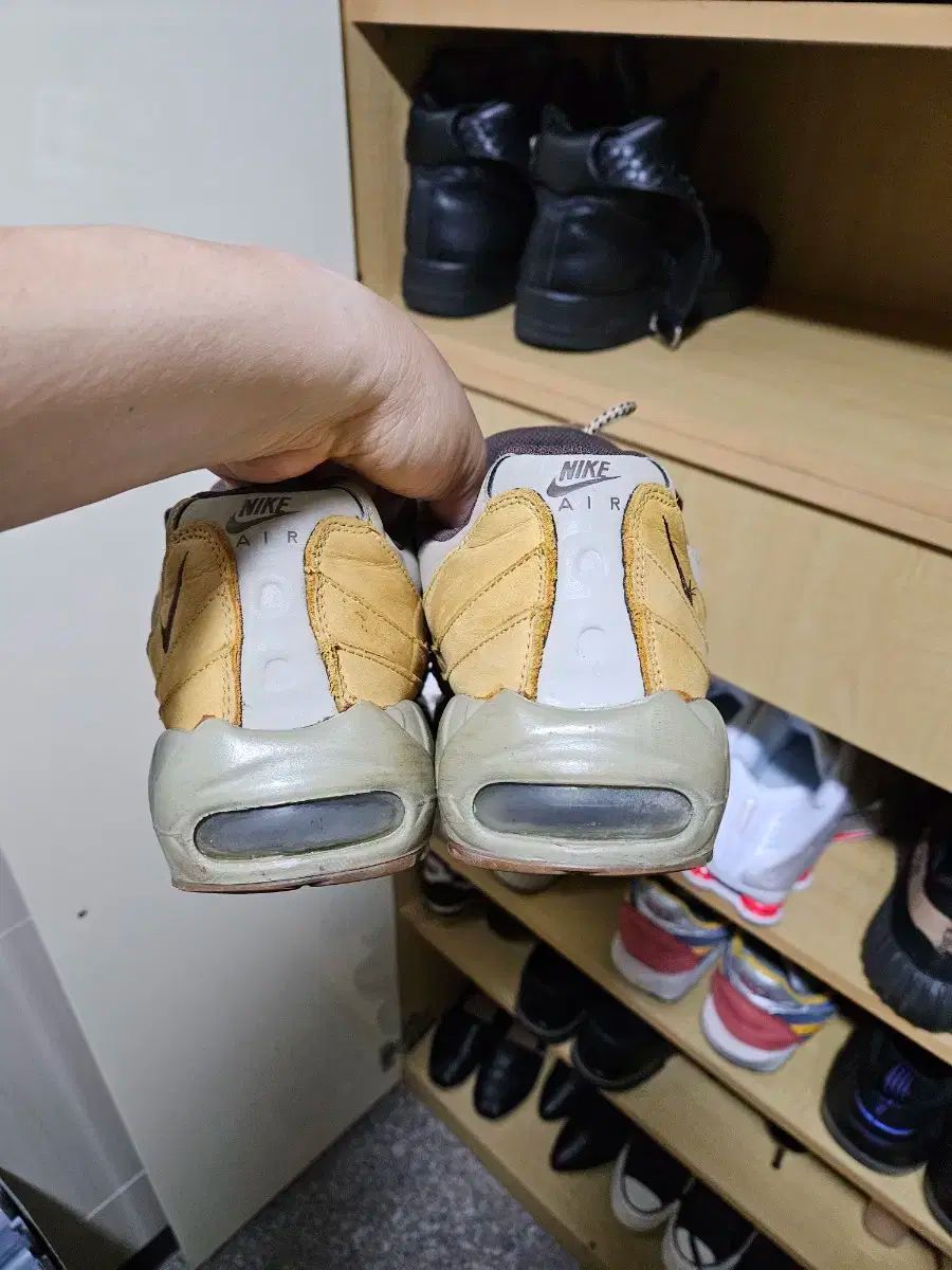 プレミアム ウィット