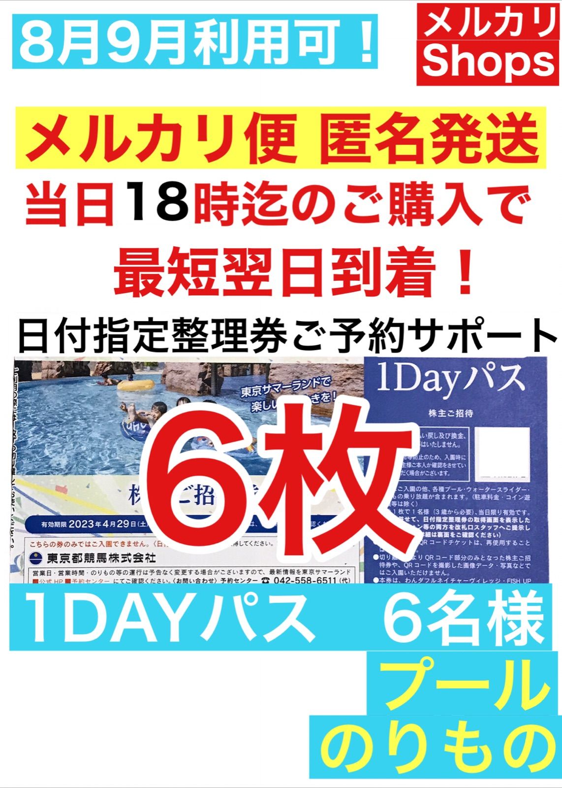 お得！ 東京 サマーランド【6名様】1DAYパス 《プール・遊園地