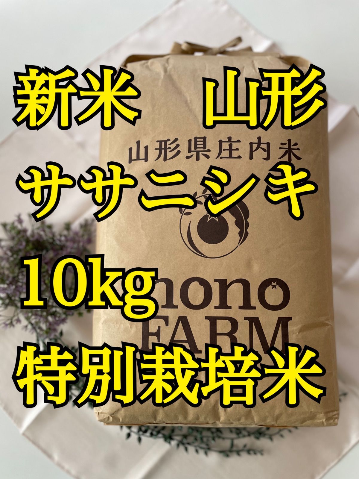 ササニシキ 令和7年 新米 10kg 山形県庄内産 特別栽培米