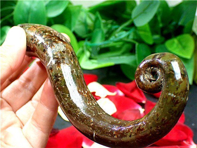 ☆貴重－アンモナイト縫合線オパール化石標本B85U3/338U22D - メルカリ