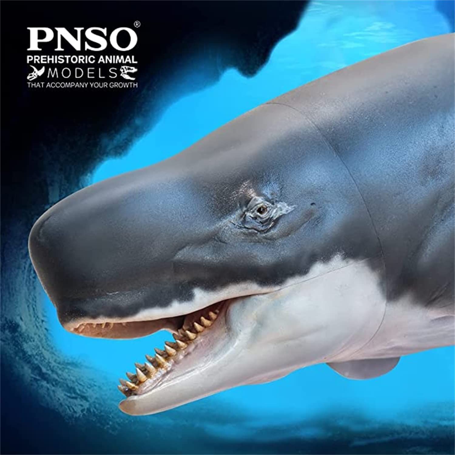 PNSO 成長シリーズ 56 リヴィアタン・メルビレイ リビアタン マッコウクジラ科 リヴァイアサン 海洋動物 リアル フィギュア PVC おもちゃ  模型 恐竜好き 誕生日 プレゼント塗装済 32cm級 中身中空 - メルカリ