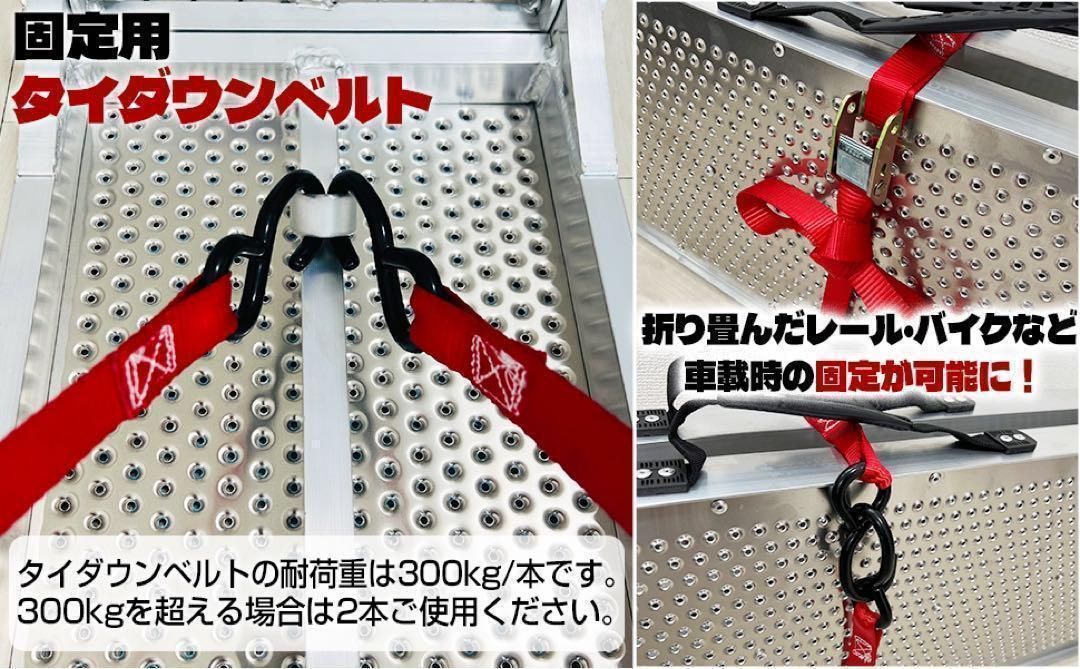 アルミラダーレール 2個セット 耐荷重680kg 4箇所ハンドル 1789 