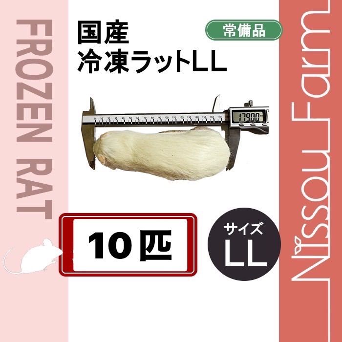 seita【プロフィール必読】専用 コレクション ニンテンドー3DS 妖怪