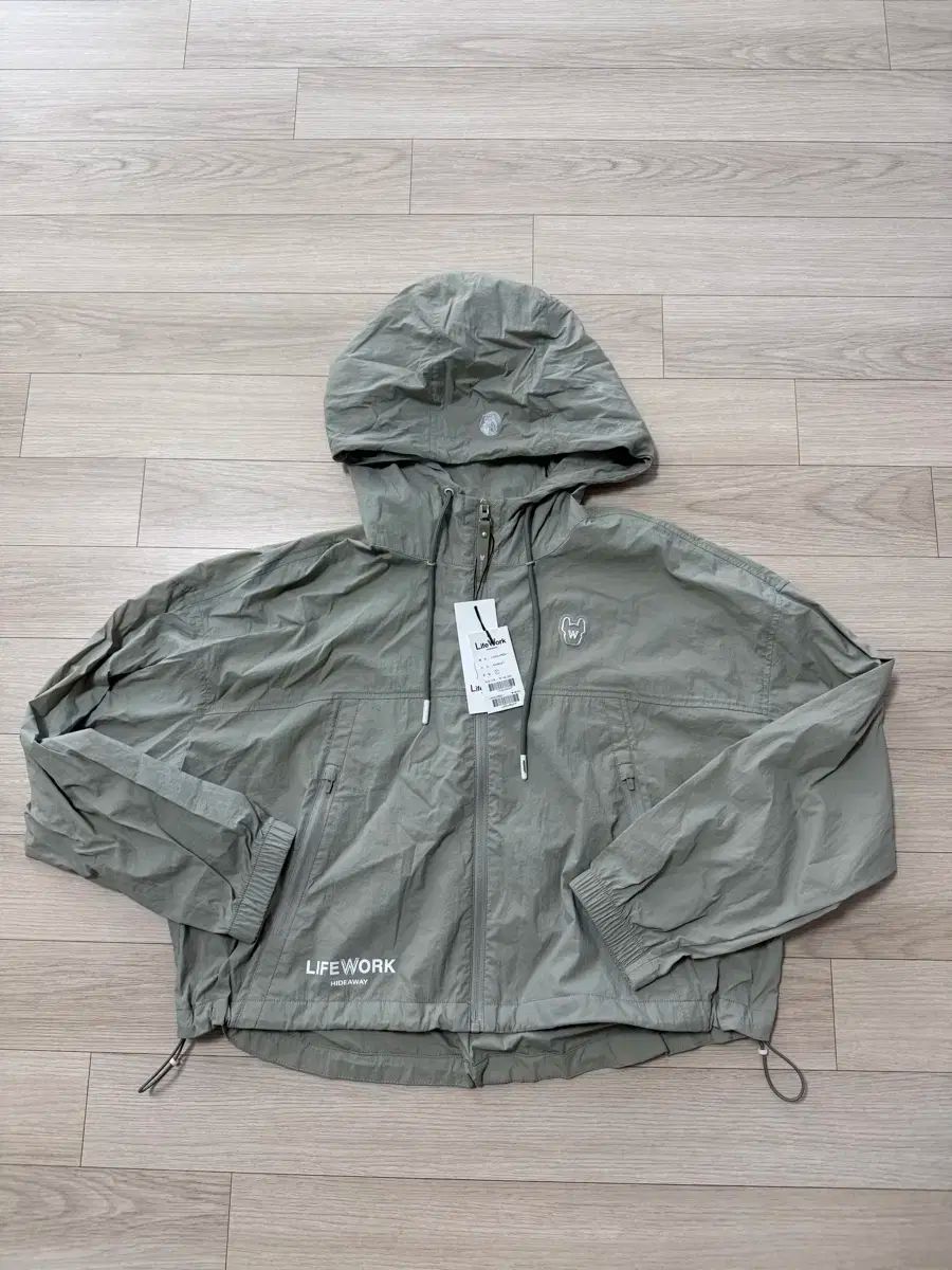 ブルマ亀仙人 offshore × DRAGON BALL × ZATUON ブルマ 亀仙人