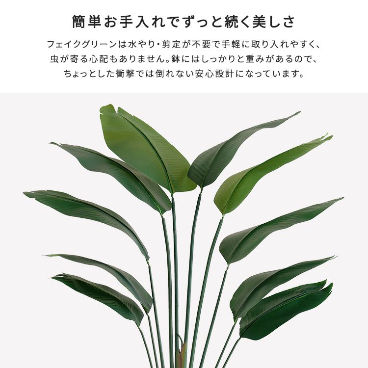 お手入れ簡単フェイクグリーン ストレリチア
