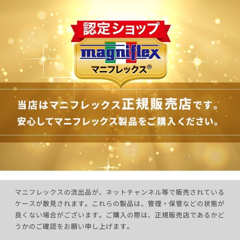 圧縮 BSDMeshWingM